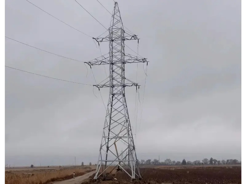 بازخورد مشتریان مائو تانگ